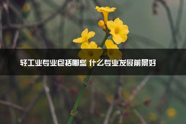 轻工业专业包括哪些 什么专业发展前景好