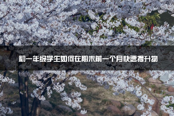 初一年级学生如何在期末前一个月快速提升物理成绩？