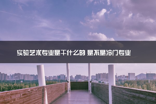 实验艺术专业是干什么的 是不是冷门专业