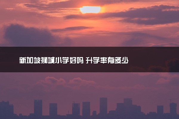 新加坡狮城小学好吗 升学率有多少