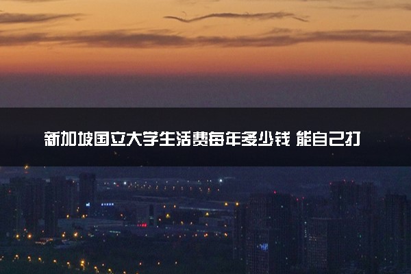 新加坡国立大学生活费每年多少钱 能自己打工挣吗