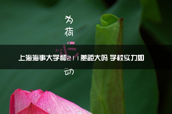 上海海事大学和211差距大吗 学校实力如何