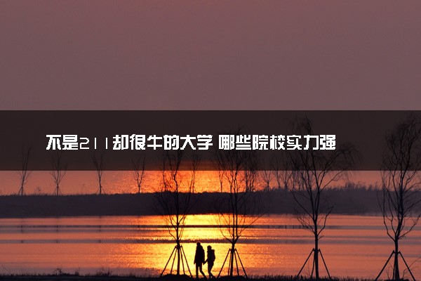 不是211却很牛的大学 哪些院校实力强