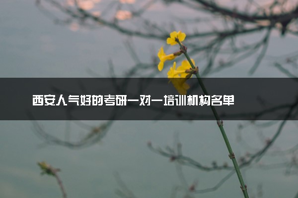 西安人气好的考研一对一培训机构名单