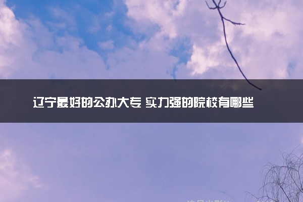 辽宁最好的公办大专 实力强的院校有哪些