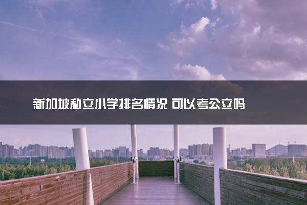 新加坡私立小学排名情况 可以考公立吗