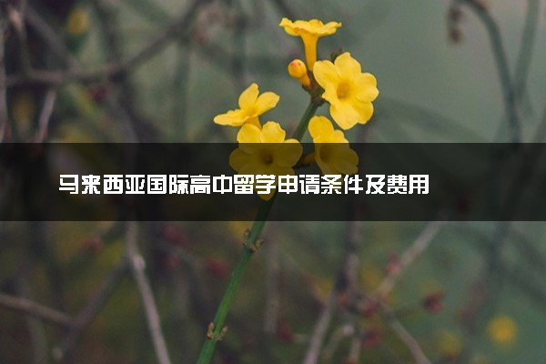 马来西亚国际高中留学申请条件及费用
