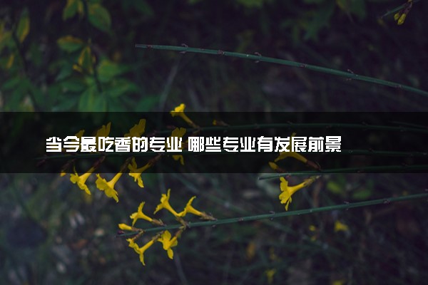 当今最吃香的专业 哪些专业有发展前景