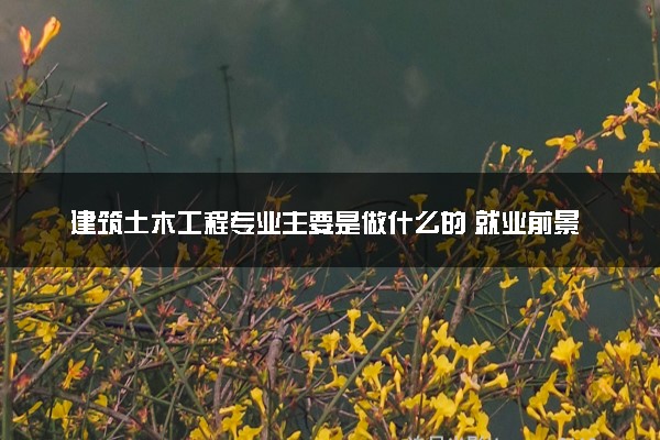 建筑土木工程专业主要是做什么的 就业前景分析