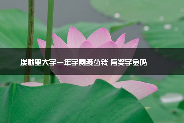 埃默里大学一年学费多少钱 有奖学金吗