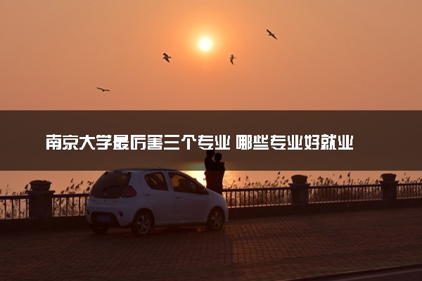 南京大学最厉害三个专业 哪些专业好就业