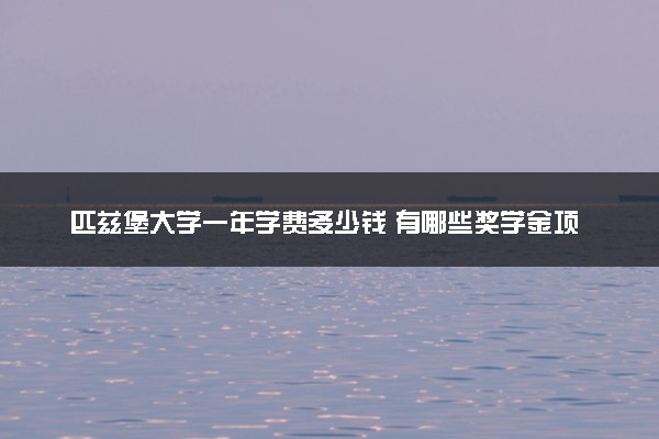 匹兹堡大学一年学费多少钱 有哪些奖学金项目