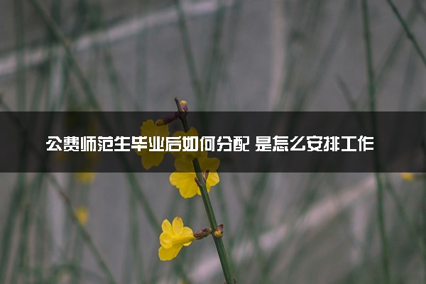 公费师范生毕业后如何分配 是怎么安排工作的
