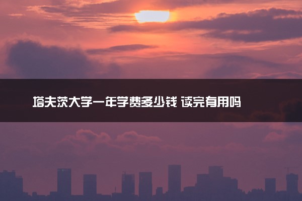 塔夫茨大学一年学费多少钱 读完有用吗