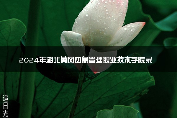 2024年湖北黄冈应急管理职业技术学院录取分数线是多少 各省最低分数线及位次