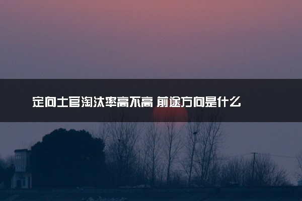 定向士官淘汰率高不高 前途方向是什么