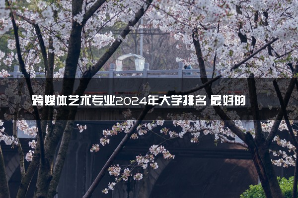 跨媒体艺术专业2024年大学排名 最好的大学排行榜