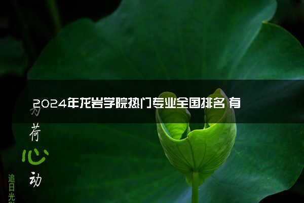 2024年龙岩学院热门专业全国排名 有