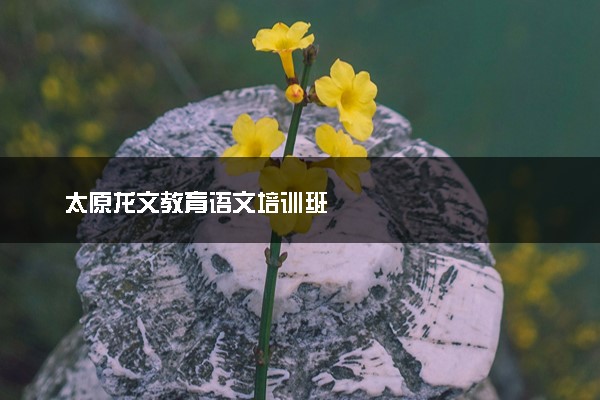 太原龙文教育语文培训班