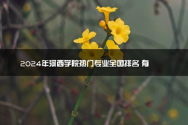 2024年河西学院热门专业全国排名 有