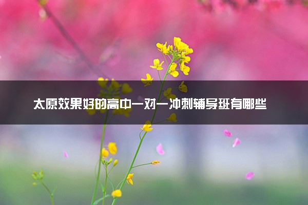 太原效果好的高中一对一冲刺辅导班有哪些