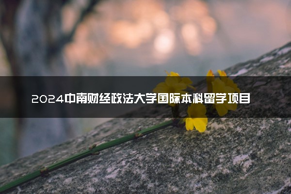 2024中南财经政法大学国际本科留学项目2+2招生简章