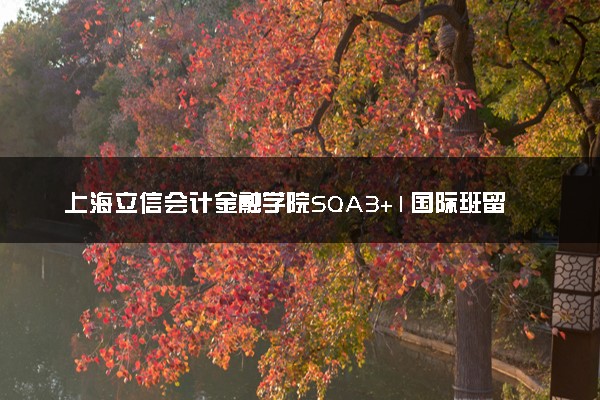 上海立信会计金融学院SQA3+1国际班留学中外合作项目
