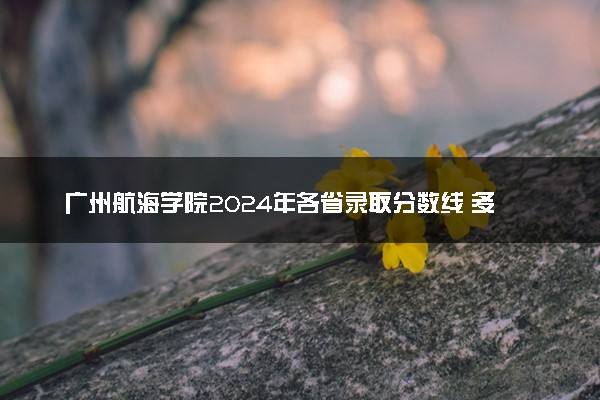 广州航海学院2024年各省录取分数线 多少分能考上