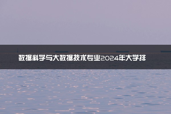 数据科学与大数据技术专业2024年大学排名 最好的大学排行榜