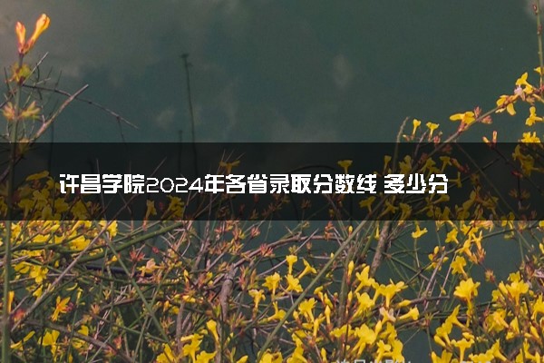 许昌学院2024年各省录取分数线 多少分能考上