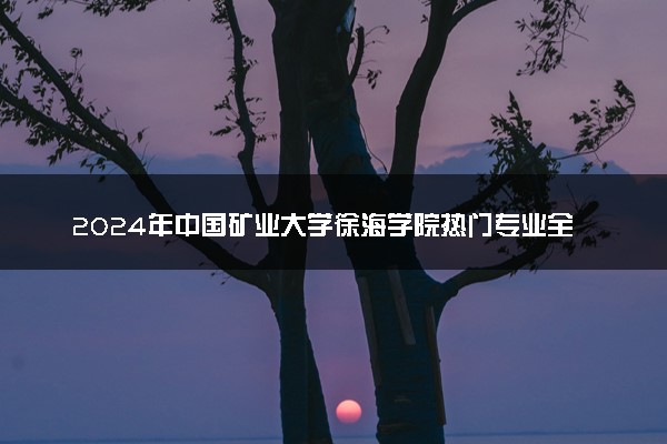 2024年中国矿业大学徐海学院热门专业全国排名 有