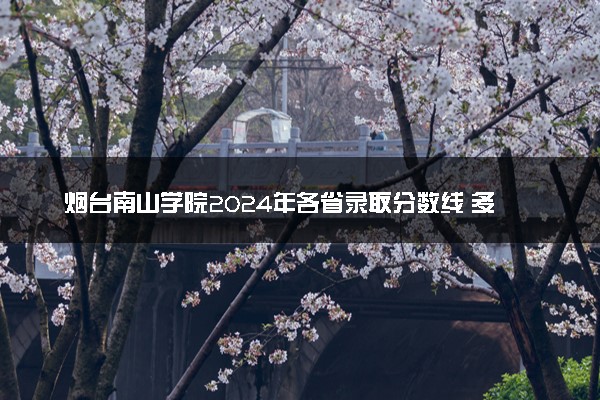 烟台南山学院2024年各省录取分数线 多少分能考上