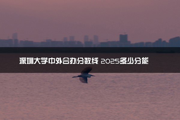 深圳大学中外合办分数线 2025多少分能录取