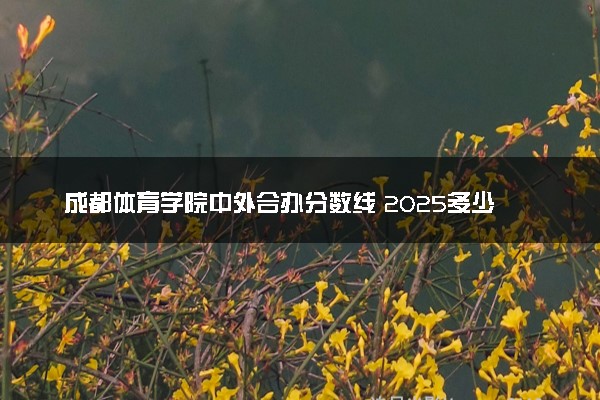 成都体育学院中外合办分数线 2025多少分能录取