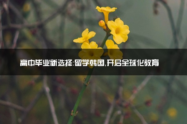 高中毕业新选择：留学韩国，开启全球化教育之旅
