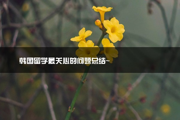 韩国留学最关心的问题总结~
