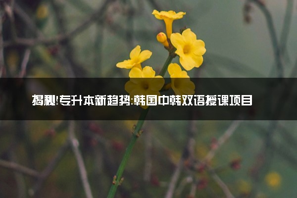 揭秘！专升本新趋势：韩国中韩双语授课项目的崛起！