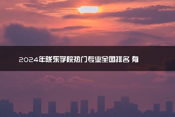 2024年陇东学院热门专业全国排名 有