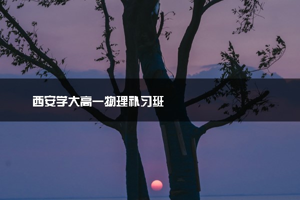 西安学大高一物理补习班