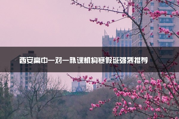 西安高中一对一补课机构寒假班强烈推荐