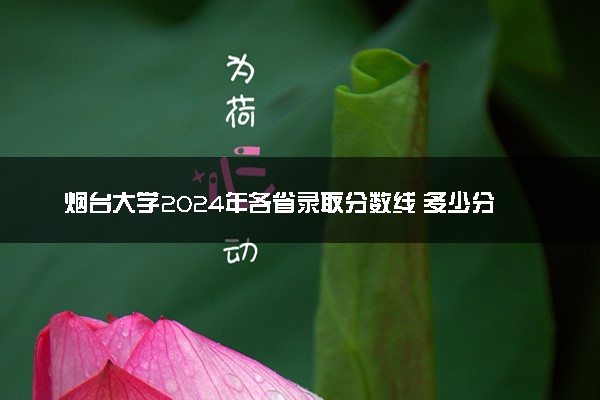 烟台大学2024年各省录取分数线 多少分能考上
