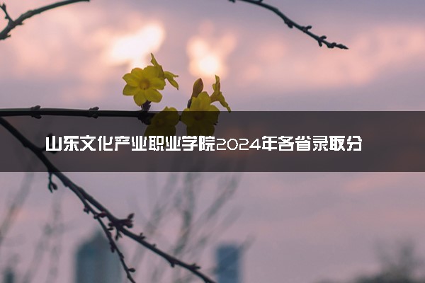 山东文化产业职业学院2024年各省录取分数线 多少分能考上