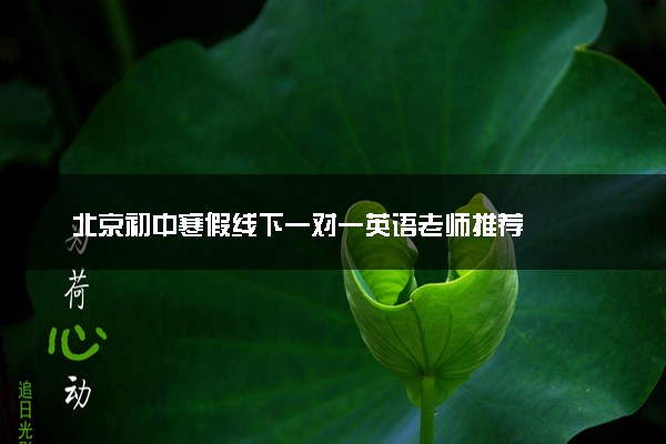 北京初中寒假线下一对一英语老师推荐