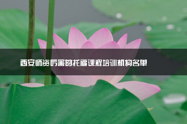西安师资厉害的托福课程培训机构名单