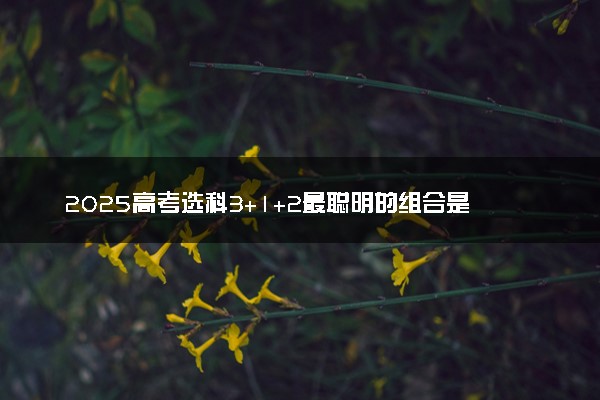 2025高考选科3+1+2最聪明的组合是什么 如何选科比较好