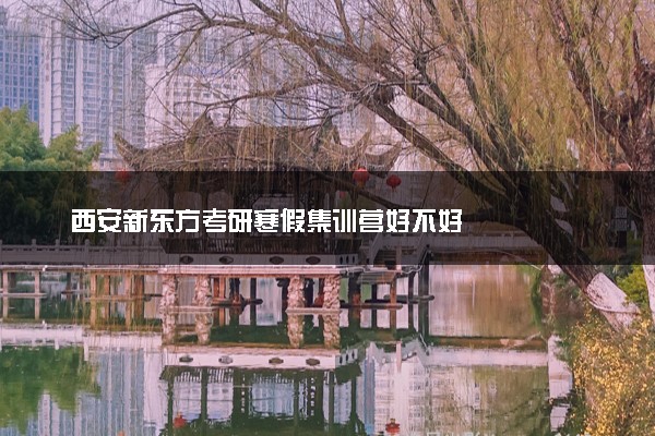 西安新东方考研寒假集训营好不好
