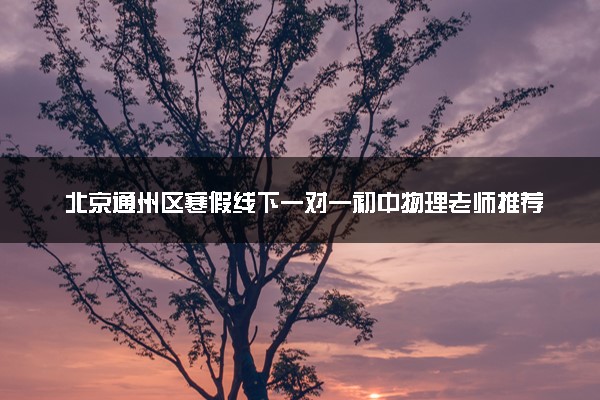 北京通州区寒假线下一对一初中物理老师推荐