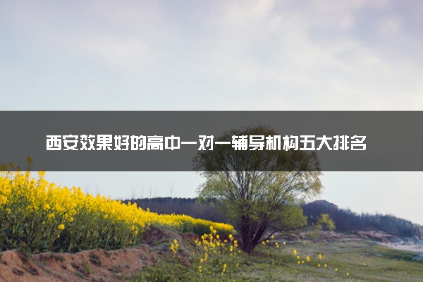 西安效果好的高中一对一辅导机构五大排名