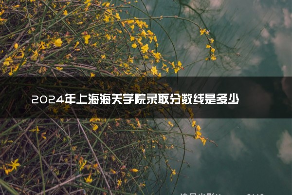 2024年上海海关学院录取分数线是多少 各省最低分数线及位次