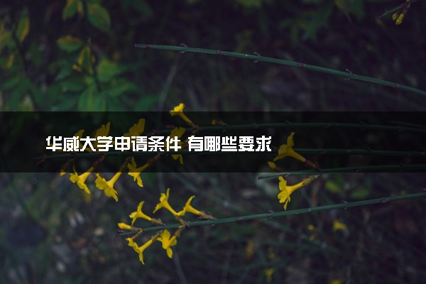 华威大学申请条件 有哪些要求